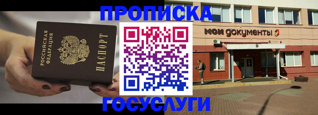 временная регистрация госуслуги в Никольском